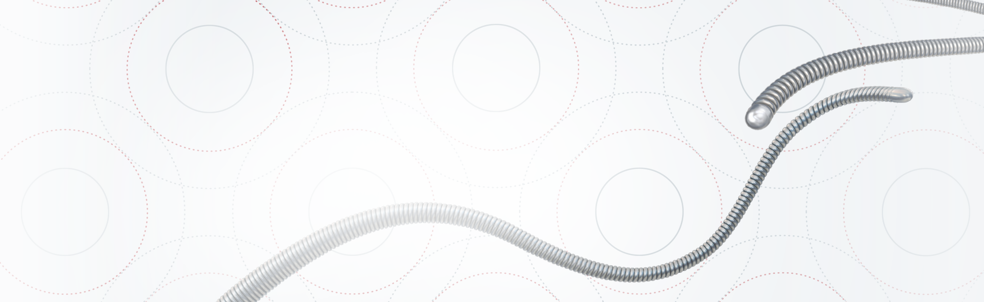 Coronary Guidewires Boston Scientific